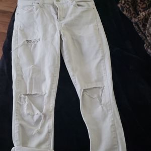 A GOLD E sophie crop